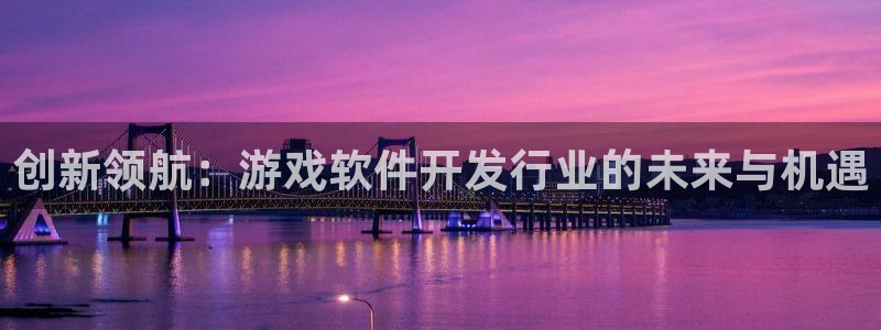 亿万28品牌服装：创新领航：游戏软件开发行业的未来与机遇