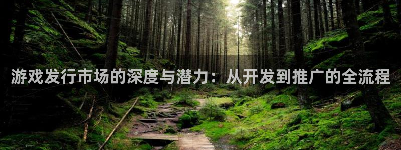 陕西亿万28子文化创意有限公司有什么游戏：游戏发行市场的深度与潜力：从开发到推广的全流程