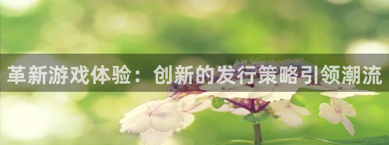 亿万28子股价：革新游戏体验：创新的发行策略引领潮流