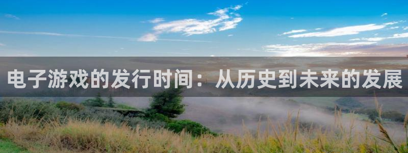 亿万28集团是什么企业：电子游戏的发行时间：从历史到未来的发展