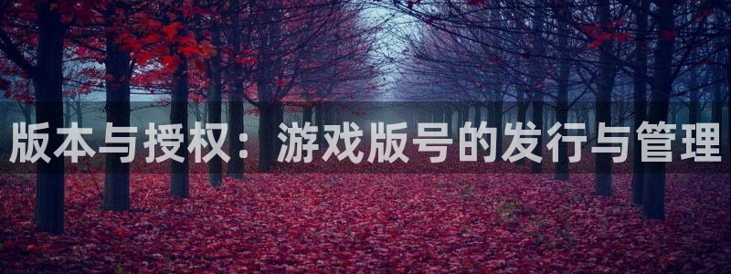 亿万28子年度最佳图书：版本与授权：游戏版号的发行与管理