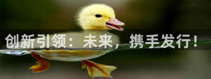 亿万28运动装有哪些品牌
