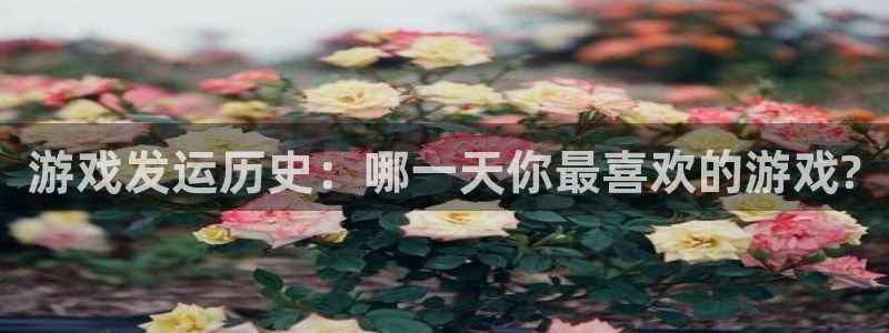 亿万28电子商务有限公司地址：游戏发运历史：哪一天你最喜欢的游戏?