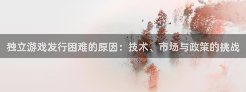 陕西亿万28子文化创意有限公司1：独立游戏发行困难的原因：技术、市场与政策的挑战
