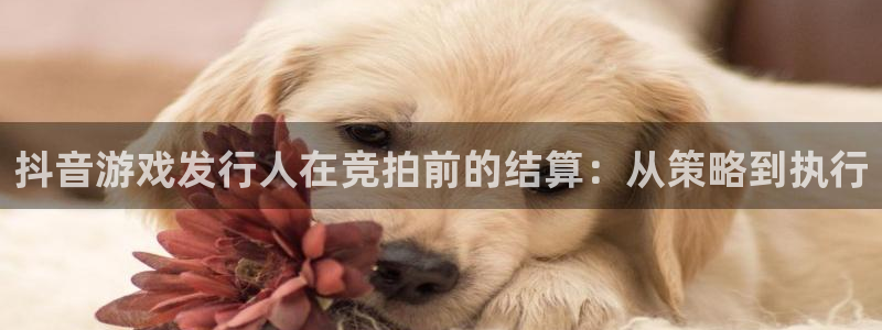 法国亿万28lvnces是奢侈品吗：抖音游戏发行人在竞拍前的结算：从策略到执行