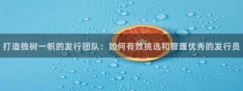 亿万28官网注册方法有哪些软件：打造独树一帜的发行团队：如何有效挑选和管理优秀的发行员