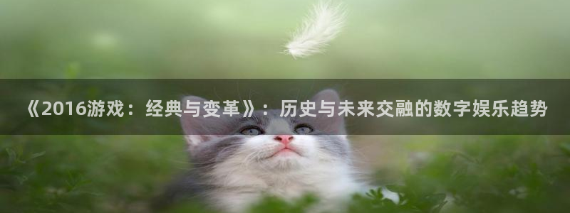 亿万28官网骗局是真的吗：《2016游戏：经典与变革》：历史与未来交融的数字娱乐趋势