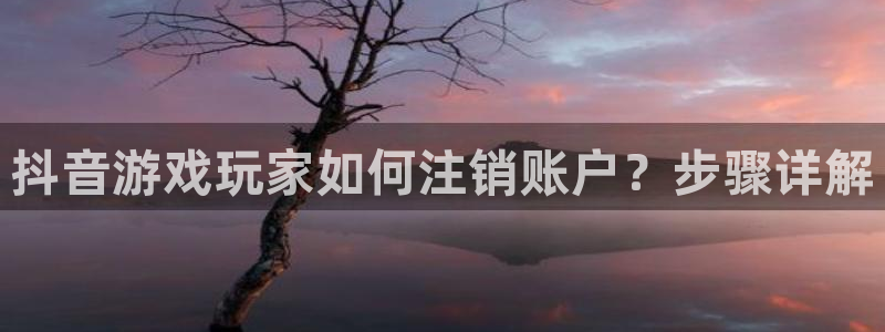 亿万28官网登录注册账号是什么样的：抖音游戏玩家如何注销账户？步骤详解
