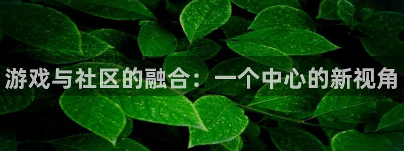 亿万28子签约作家：游戏与社区的融合：一个中心的新视角