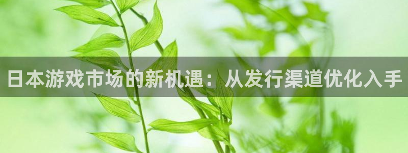 亿万28集团董事长刘一辰简历：日本游戏市场的新机遇：从发行渠道优化入手