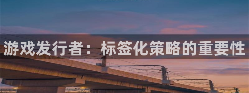 长沙亿万28子电子商务有限公司：游戏发行者：标签化策略的重要性