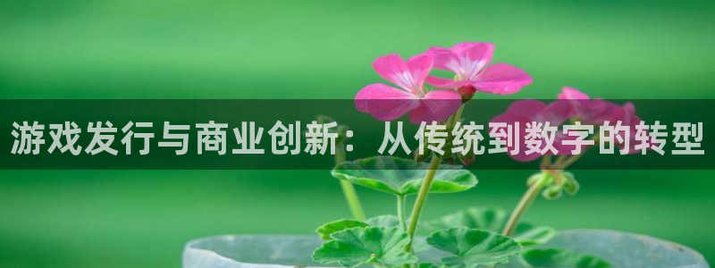 亿万28官网注册方法视频：游戏发行与商业创新：从传统到数字的转型