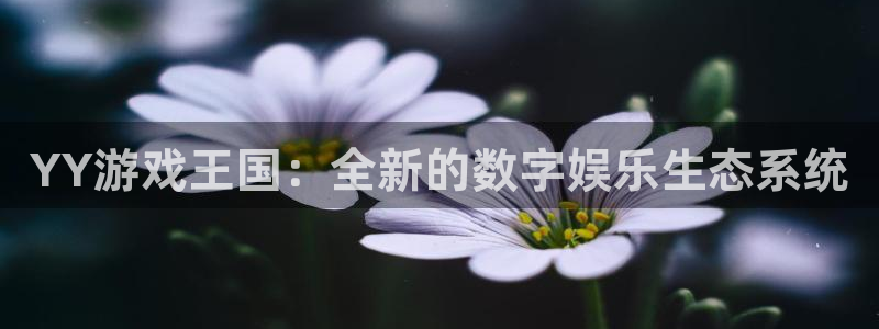 亿万28官网平台代理开号流程：YY游戏王国：全新的数字娱乐生态系统