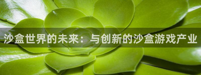亿万28子经理人：沙盒世界的未来：与创新的沙盒游戏产业