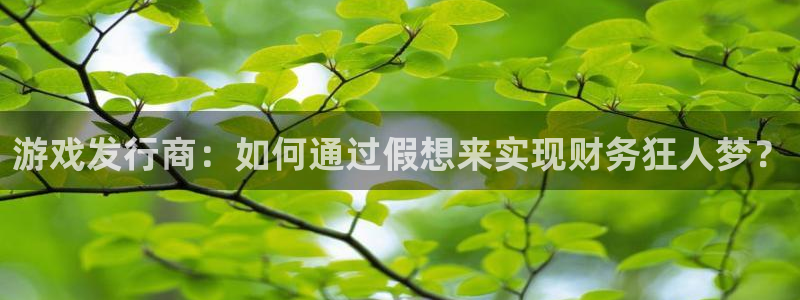 亿万28官网是赌博么：游戏发行商：如何通过假想来实现财务狂人梦？