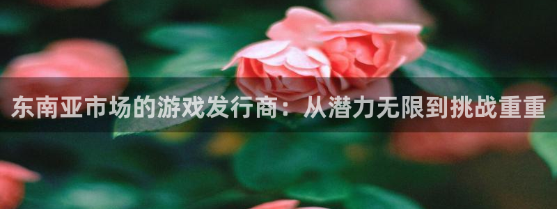 lvnces亿万28衣服：东南亚市场的游戏发行商：从潜力无限到挑战重重