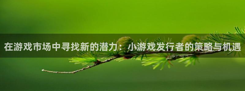 亿万28官网注册登录失败：在游戏市场中寻找新的潜力：小游戏发行者的策略与机遇