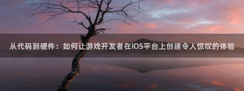 江苏亿万28智得：从代码到硬件：如何让游戏开发者在iOS平台上创建令人惊叹的体验