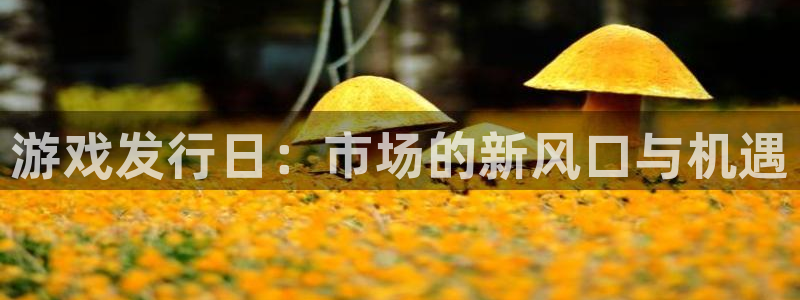 亿万28子文化创意有限公司