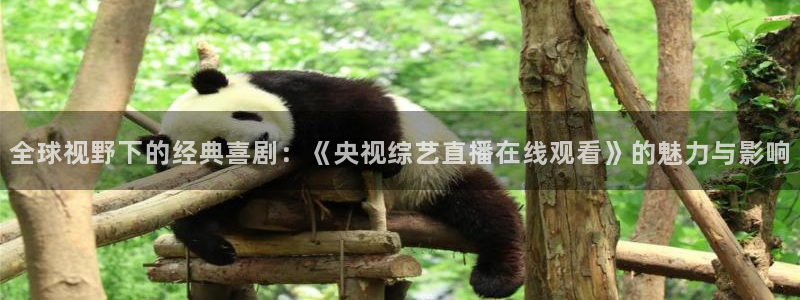 熊猫游戏直播：全球视野下的经典喜剧：《央视综艺直播在线观看》的魅力与影响