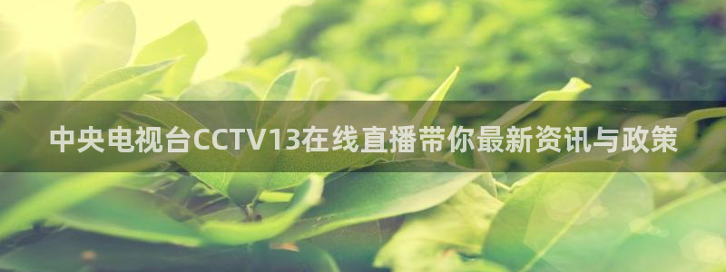 下载熊猫体育直播：中央电视台CCTV13在线直播带你最新资讯与政策