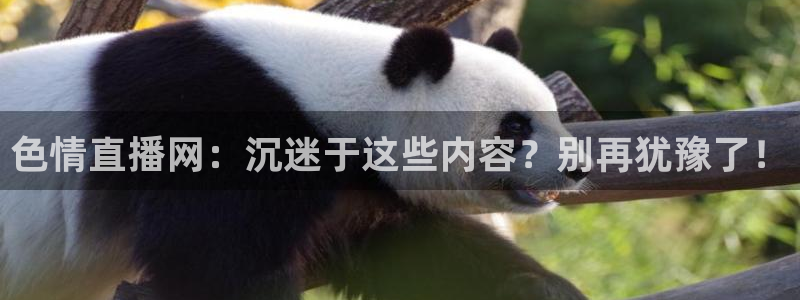 熊猫体育公园：色情直播网：沉迷于这些内容？别再犹豫了！