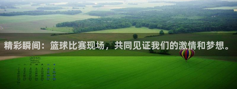 熊猫体育直播app点击启动.进新版.org：精彩瞬间：篮球比赛现场，共同见证我们的激情和梦想。