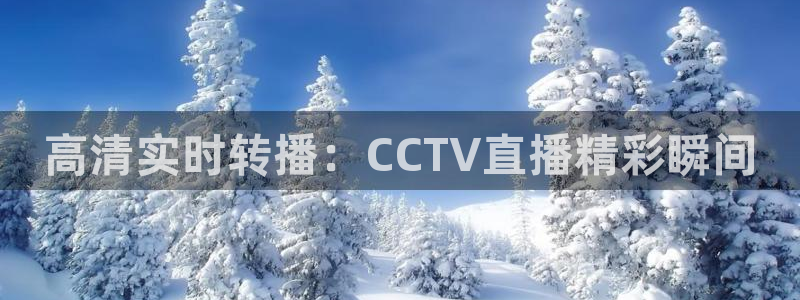 熊猫体育app下载安装：高清实时转播：CCTV直播精彩瞬间