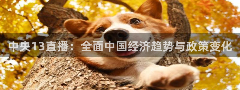 下载熊猫直播app：中央13直播：全面中国经济趋势与政策变化
