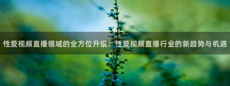 熊猫直播app：性爱视频直播领域的全方位升级：性爱视频直播行业的新趋势与机遇