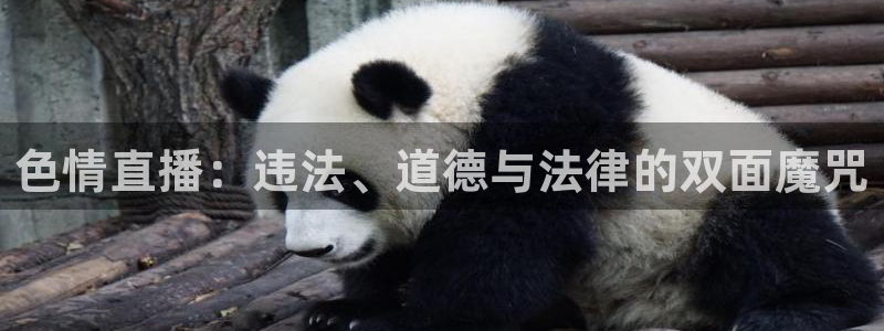 熊猫体育免费直播：色情直播：违法、道德与法律的双面魔咒
