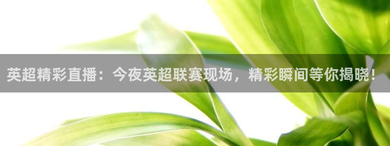 熊猫直播平台官网：英超精彩直播：今夜英超联赛现场，精彩瞬间等你揭晓！