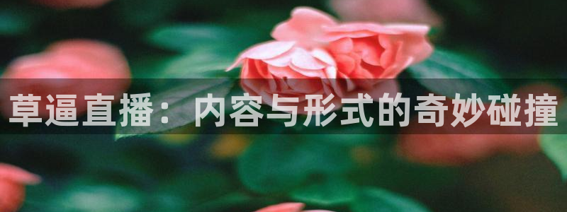 下载熊猫体育：草逼直播：内容与形式的奇妙碰撞