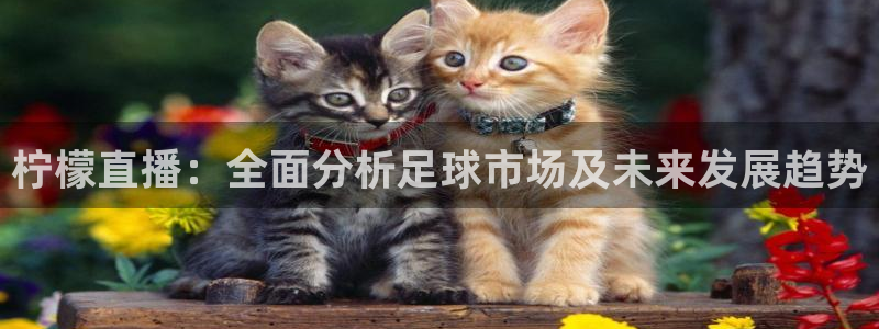 熊猫体育直播新版.新网页.org：柠檬直播：全面分析足球市场及未来发展趋势